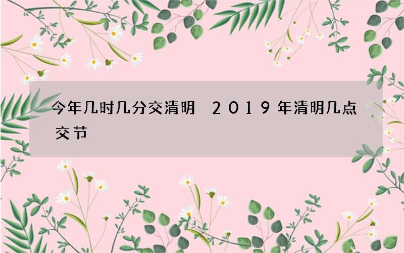 今年几时几分交清明 2019年清明几点交节